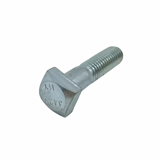 Boulon à tête carrée personnalisé pour China Factory